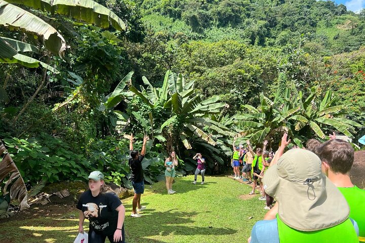 Turisti che si godono scivoli naturali e la spiaggia a Porto Rico, foto 43 | wizardtrip