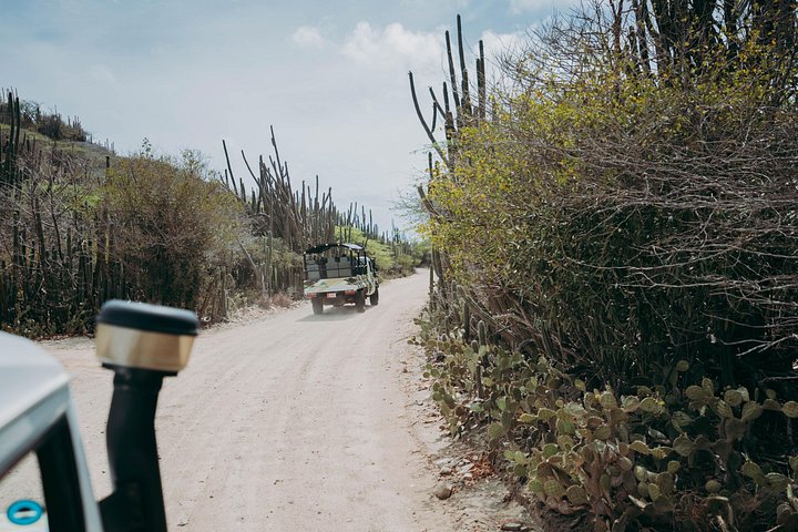 Jeep-Tour zur Erkundung von Arubas Naturpool und Baby Beach, einschließlich des Arikok Nationalparks, Foto 4 | wizardtrip