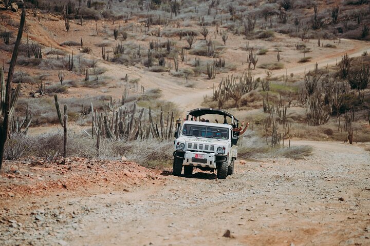 Jeep-Tour zur Erkundung von Arubas Naturpool und Baby Beach, einschließlich des Arikok Nationalparks, Foto 5 | wizardtrip