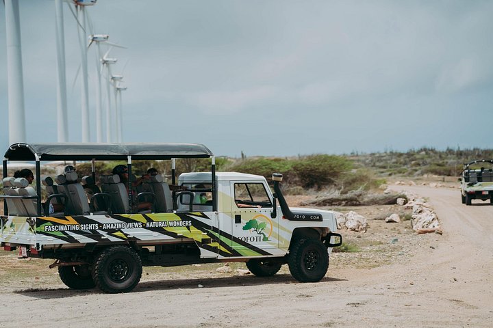 Jeep-Tour zur Erkundung von Arubas Naturpool und Baby Beach, einschließlich des Arikok Nationalparks, Foto 13 | wizardtrip