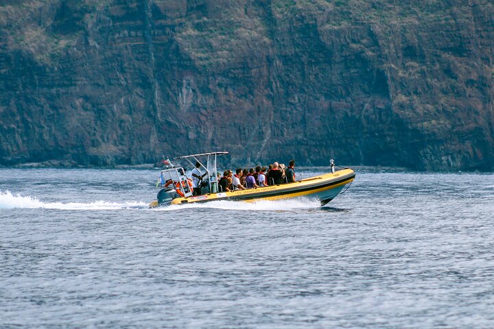 Excursion d'observation de dauphins et baleines à Madère à bord d'un semi-rigide, photo 8 | wizardtrip