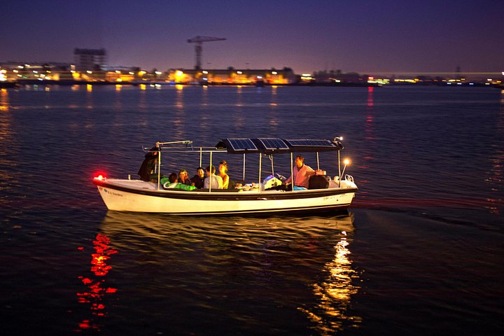 Privat kanalkryssning i Amsterdam med guide och drycker, foto 12 | wizardtrip