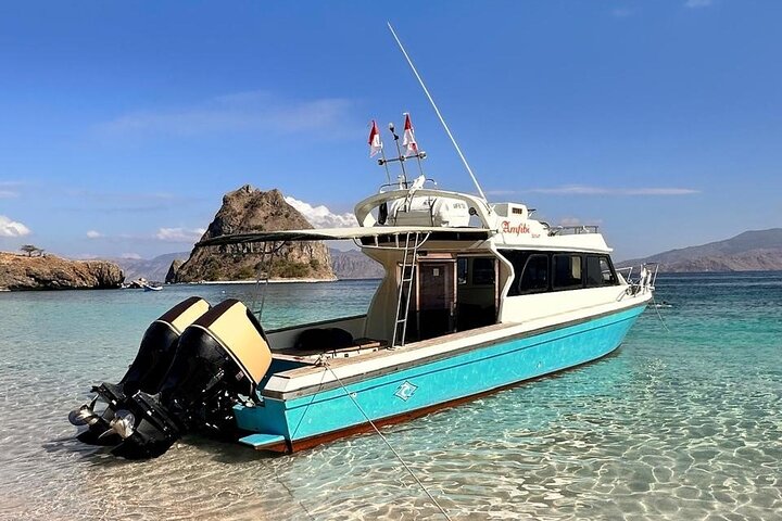 Speedbåttur i Komodo nasjonalpark, Indonesia, med øyer, dyreliv og snorkling, foto 8 | wizardtrip