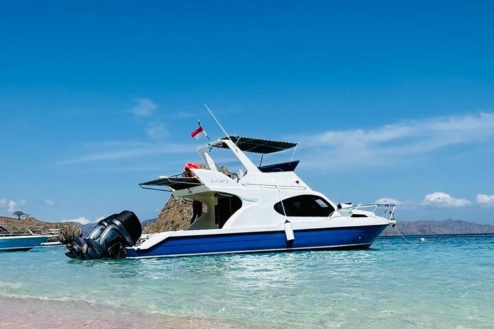 Speedbåttur i Komodo nasjonalpark, Indonesia, med øyer, dyreliv og snorkling, foto 11 | wizardtrip