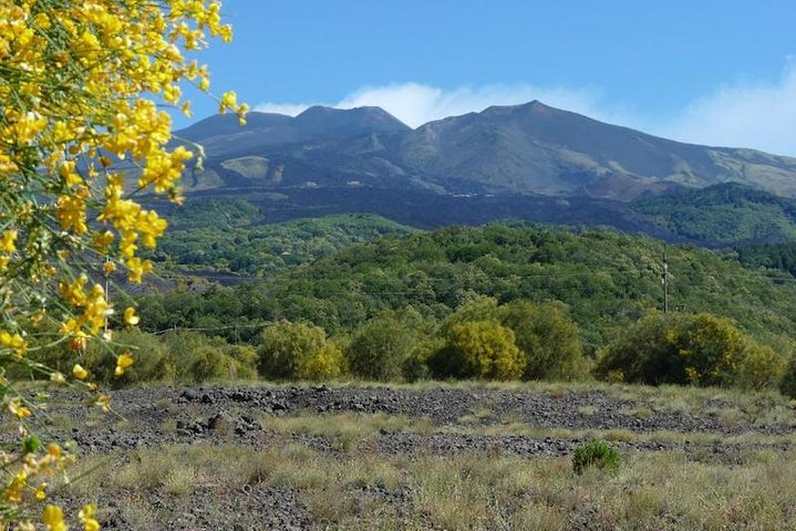Udforsk Etna-bjergets vulkanske landskaber, lavahuler og lokale smagsoplevelser på en guidet tur fra Catania, foto 11 | wizardtrip