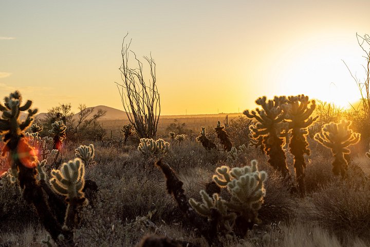 Passeio de Jeep off-road ao pôr do sol no Deserto Sonoro perto de Scottsdale, Arizona, foto 8 | wizardtrip