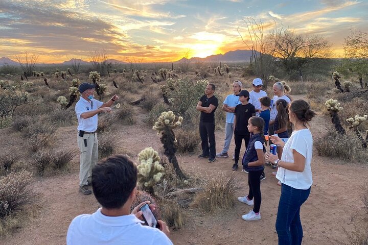 Passeio de Jeep off-road ao pôr do sol no Deserto Sonoro perto de Scottsdale, Arizona, foto 9 | wizardtrip