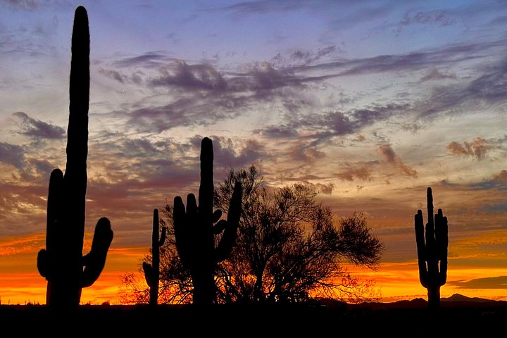 Passeio de Jeep off-road ao pôr do sol no Deserto Sonoro perto de Scottsdale, Arizona, foto 21 | wizardtrip