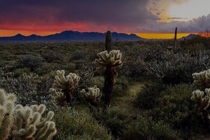 Passeio de Jeep off-road ao pôr do sol no Deserto Sonoro perto de Scottsdale, Arizona, foto 22 | wizardtrip