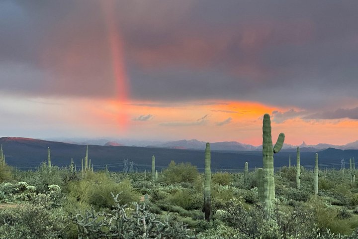 Passeio de Jeep off-road ao pôr do sol no Deserto Sonoro perto de Scottsdale, Arizona, foto 24 | wizardtrip