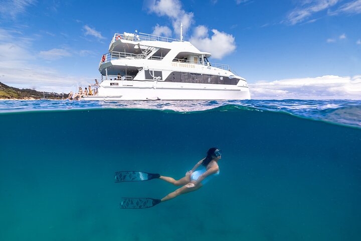 Croisière plongée avec tuba aux épaves de Moreton Island au départ de Brisbane | wizardtrip