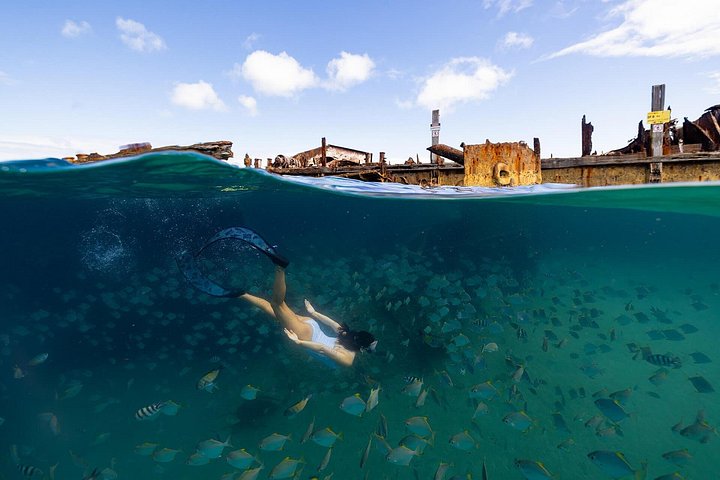 Tageskreuzfahrt zur Moreton Island, Australien, mit Schnorcheln an den Tangalooma Wrecks und Delfinbeobachtung, Foto 6 | wizardtrip