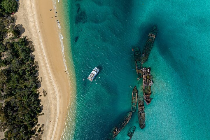 Tageskreuzfahrt zur Moreton Island, Australien, mit Schnorcheln an den Tangalooma Wrecks und Delfinbeobachtung, Foto 10 | wizardtrip