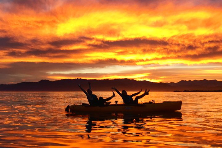 Aventure en kayak avec des otaries de Nouvelle-Zélande à Kaikoura, photo 14 | wizardtrip
