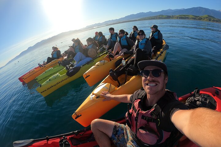 Aventure en kayak avec des otaries de Nouvelle-Zélande à Kaikoura, photo 15 | wizardtrip