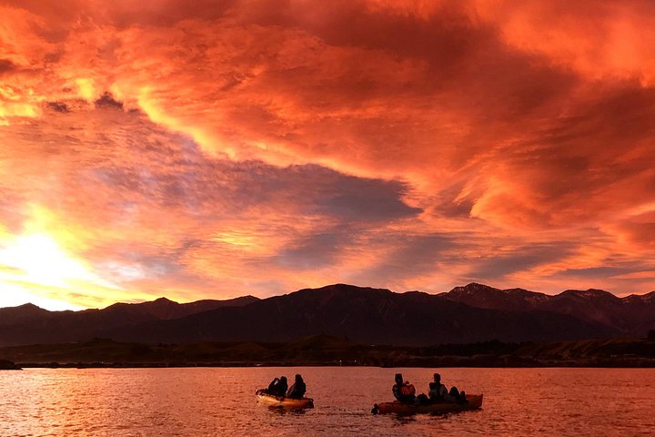 Aventure en kayak avec des otaries de Nouvelle-Zélande à Kaikoura, photo 16 | wizardtrip