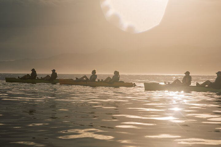 Aventure en kayak avec des otaries de Nouvelle-Zélande à Kaikoura, photo 20 | wizardtrip