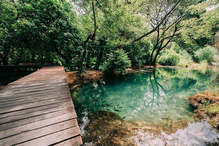 Tour de las cascadas del Parque Nacional Krka y la ciudad de Skradin desde Split, Croacia, foto 10 | wizardtrip