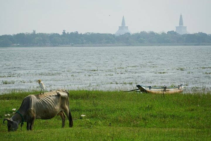 Privater Rundgang durch das antike Anuradhapura, Sri Lanka, mit historischen Stätten und buddhistischen Monumenten, Foto 35 | wizardtrip
