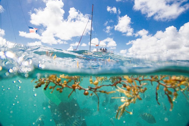 Croisière en Catamaran et Snorkeling en Petit Groupe | wizardtrip