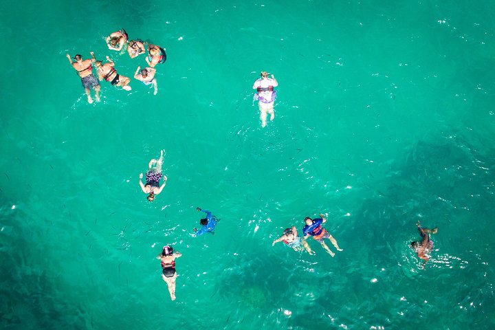 Nyd et katamankrydstogt og snorkling-eventyr i Punta Canas klare vand, foto 9 | wizardtrip