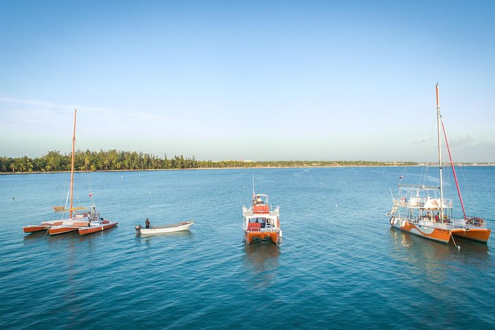 Nyd et katamankrydstogt og snorkling-eventyr i Punta Canas klare vand, foto 11 | wizardtrip