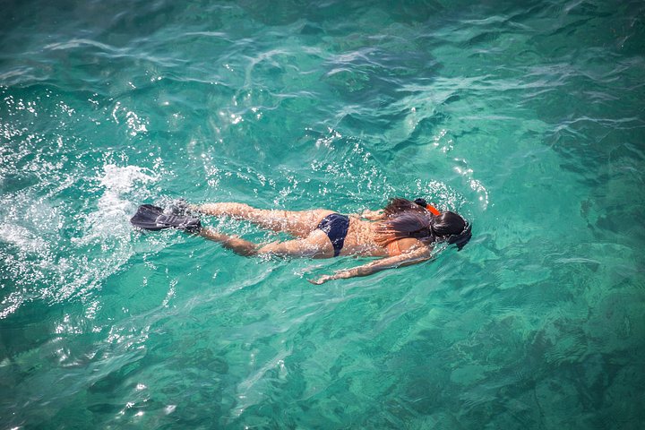 Nyd et katamankrydstogt og snorkling-eventyr i Punta Canas klare vand, foto 13 | wizardtrip