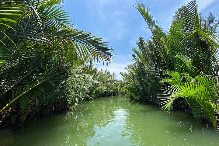 Opplev en tradisjonell kurvbåttur gjennom Hoi Ans vannkokosnøttskog, Vietnam, foto 15 | wizardtrip