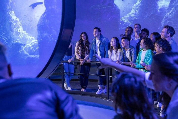 Fordybende flyveoplevelse over Islands landskaber med special effects, foto 6 | wizardtrip