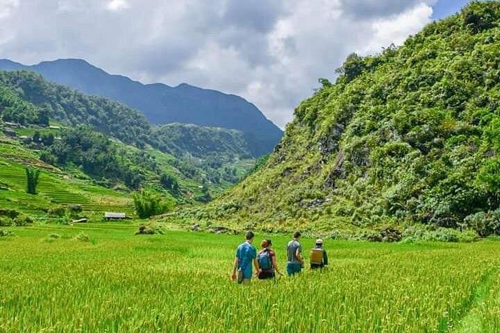 サパの田んぼと地元の村々の中での、倫理的なトレッキングとホームステイ体験、写真8 | wizardtrip