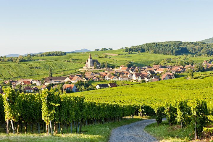 Smågruppetur som utforsker middelalderlandsbyer og slott i Alsace-regionen fra Strasbourg, foto 10 | wizardtrip