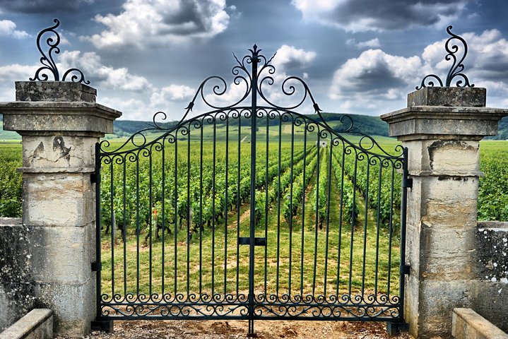 Dagsutflykt till Saint Emilion vinregion från Bordeaux, med vingårdar och byrundturer, foto 9 | wizardtrip