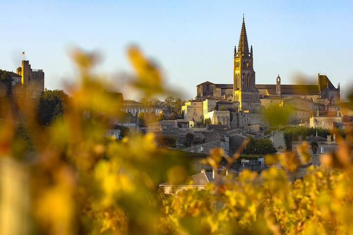 Saint Emilion Half-Day Trip with Wine Tasting & Winery Visit from Bordeaux | wizardtrip