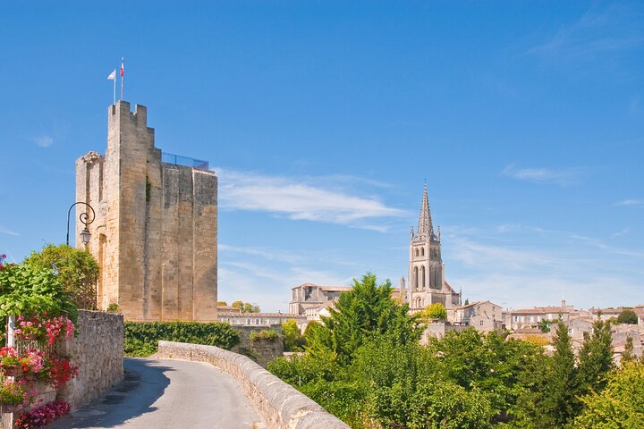 Vinsmaking og guidet tur i landsbyen Saint-Émilion fra Bordeaux, foto 11 | wizardtrip