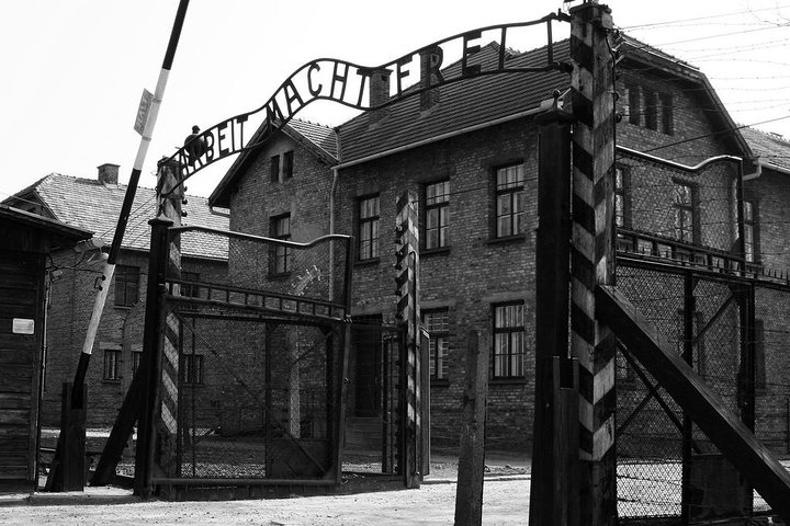Dagtocht naar Auschwitz-Birkenau en Zoutmijn van Wieliczka vanuit Krakau, Polen, foto 9 | wizardtrip