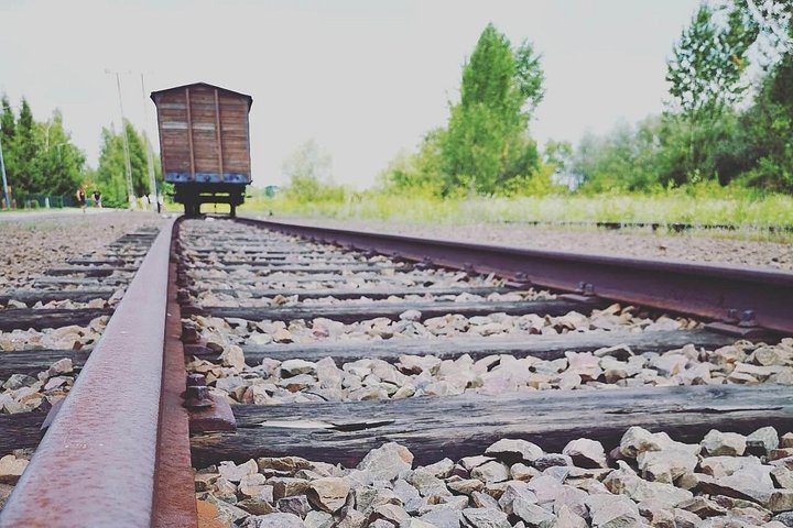 Dagtocht naar Auschwitz-Birkenau en Zoutmijn van Wieliczka vanuit Krakau, Polen, foto 19 | wizardtrip