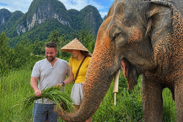 Koh Samui: Elephant Nature Park, the Largest Elephant Sanctuary | wizardtrip
