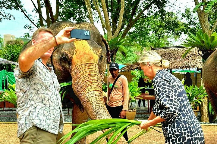 Bezoek aan een ethisch olifantencentrum op Koh Samui, Thailand, waarbij olifanten in hun natuurlijke habitat worden geobserveerd, foto 6 | wizardtrip