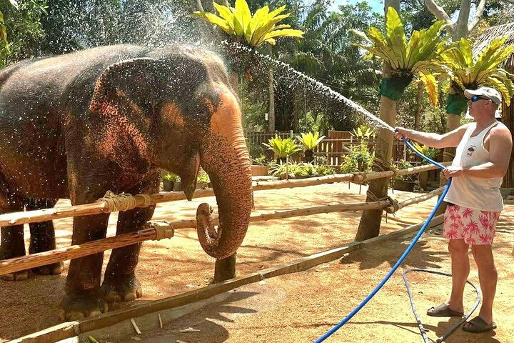 Bezoek aan een ethisch olifantencentrum op Koh Samui, Thailand, waarbij olifanten in hun natuurlijke habitat worden geobserveerd, foto 7 | wizardtrip