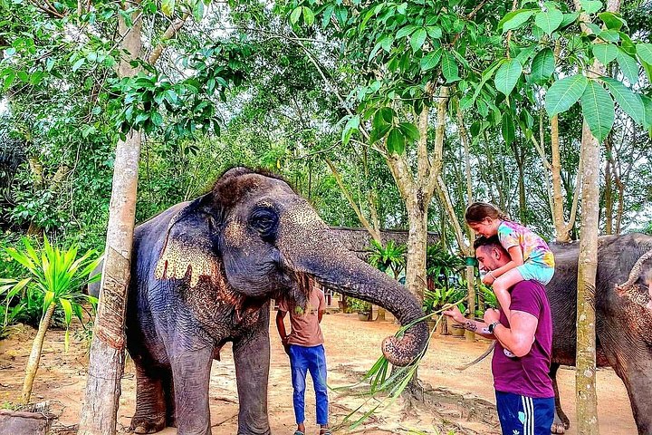 Bezoek aan een ethisch olifantencentrum op Koh Samui, Thailand, waarbij olifanten in hun natuurlijke habitat worden geobserveerd, foto 12 | wizardtrip