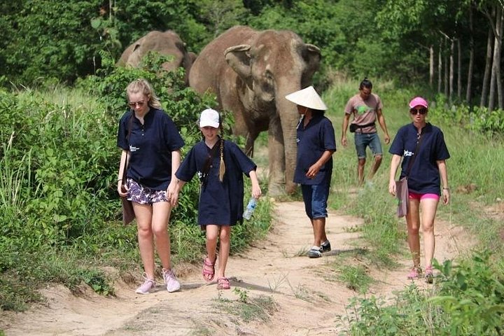 Bezoek aan een ethisch olifantencentrum op Koh Samui, Thailand, waarbij olifanten in hun natuurlijke habitat worden geobserveerd, foto 19 | wizardtrip