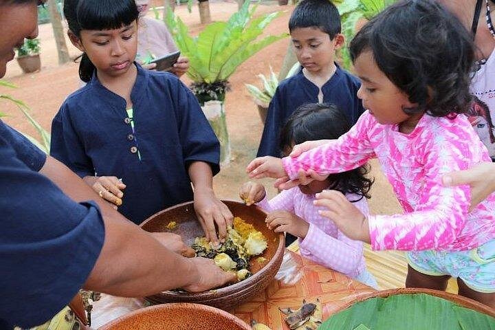 Bezoek aan een ethisch olifantencentrum op Koh Samui, Thailand, waarbij olifanten in hun natuurlijke habitat worden geobserveerd, foto 21 | wizardtrip