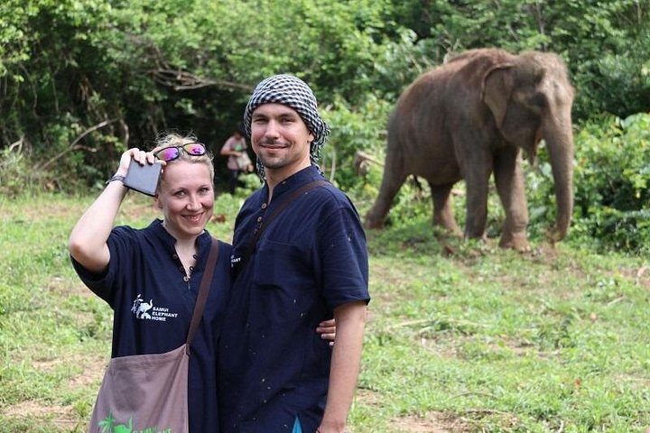 Bezoek aan een ethisch olifantencentrum op Koh Samui, Thailand, waarbij olifanten in hun natuurlijke habitat worden geobserveerd, foto 23 | wizardtrip