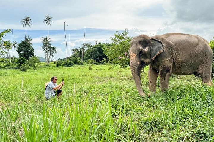 Bezoek aan een ethisch olifantencentrum op Koh Samui, Thailand, waarbij olifanten in hun natuurlijke habitat worden geobserveerd, foto 27 | wizardtrip