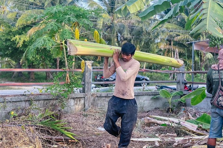 Bezoek aan een ethisch olifantencentrum op Koh Samui, Thailand, waarbij olifanten in hun natuurlijke habitat worden geobserveerd, foto 34 | wizardtrip