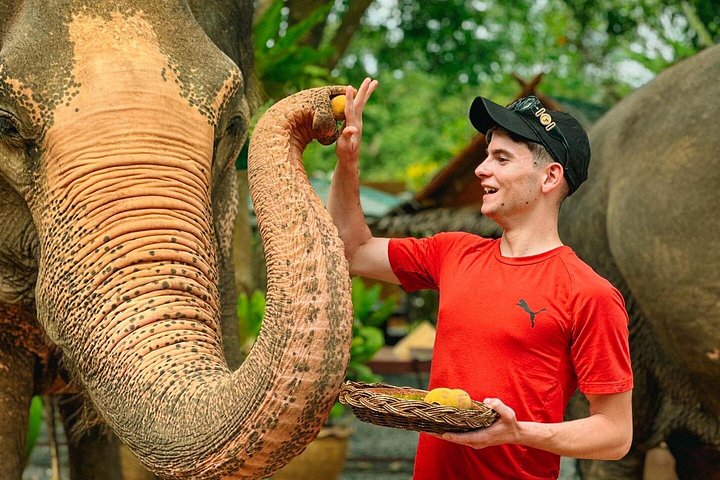 Bezoek aan een ethisch olifantencentrum op Koh Samui, Thailand, waarbij olifanten in hun natuurlijke habitat worden geobserveerd, foto 40 | wizardtrip