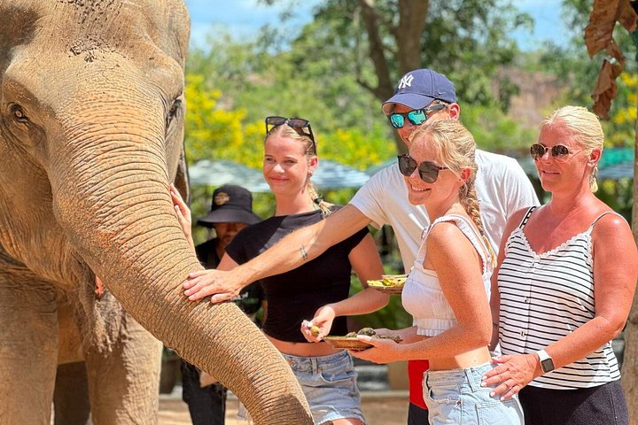 Bezoek aan een ethisch olifantencentrum op Koh Samui, Thailand, waarbij olifanten in hun natuurlijke habitat worden geobserveerd, foto 41 | wizardtrip