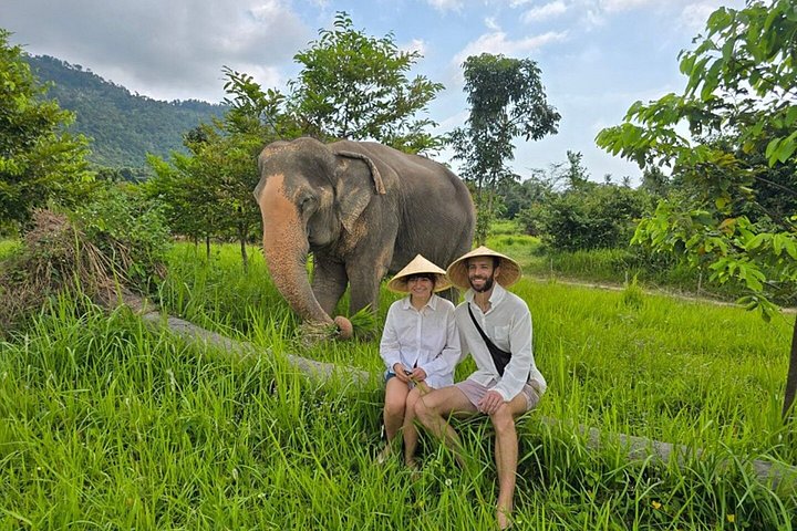 Bezoek aan een ethisch olifantencentrum op Koh Samui, Thailand, waarbij olifanten in hun natuurlijke habitat worden geobserveerd, foto 43 | wizardtrip