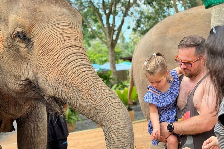 Bezoek aan een ethisch olifantencentrum op Koh Samui, Thailand, waarbij olifanten in hun natuurlijke habitat worden geobserveerd, foto 44 | wizardtrip