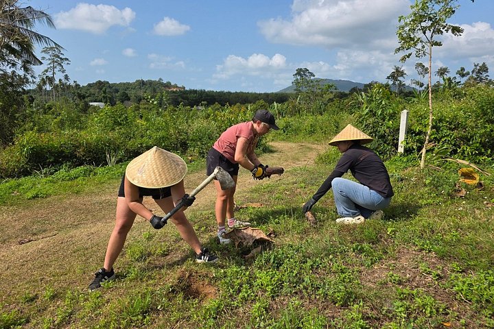 Bezoek aan een ethisch olifantencentrum op Koh Samui, Thailand, waarbij olifanten in hun natuurlijke habitat worden geobserveerd, foto 45 | wizardtrip